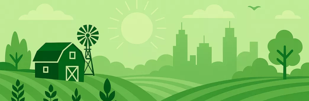 About Midwest Money Savers