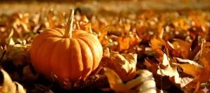 Family-Friendly Halloween Events